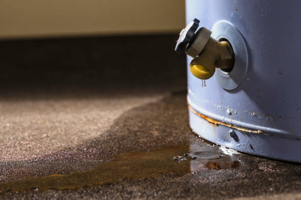 Best Professional water damage repair  in Clear Lake, IA