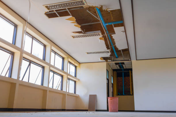 Best Water damage restoration near me  in Clear Lake, IA