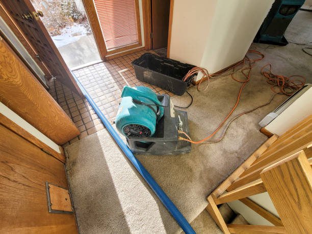 Best Local water damage restoration  in Clear Lake, IA