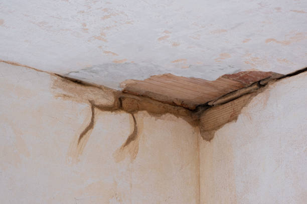 Trusted IA Water damage restoration Experts