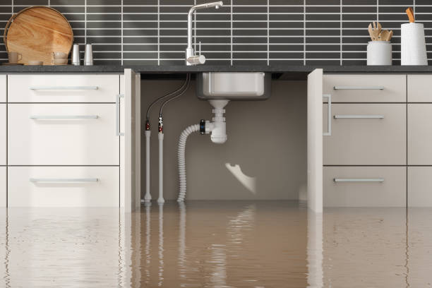 Best Water damage restoration process  in Clear Lake, IA