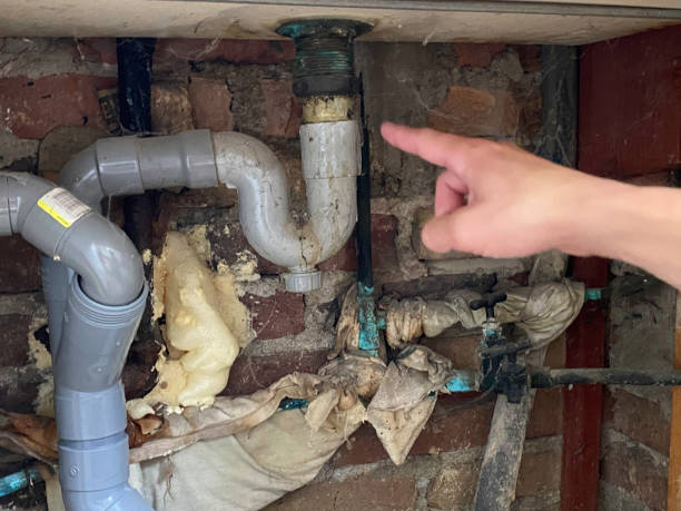 Best Water damage mitigation services  in Clear Lake, IA