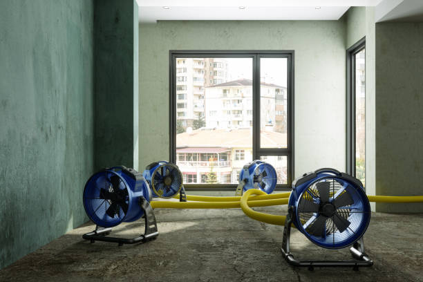 Best Water damage contractors near me  in Clear Lake, IA